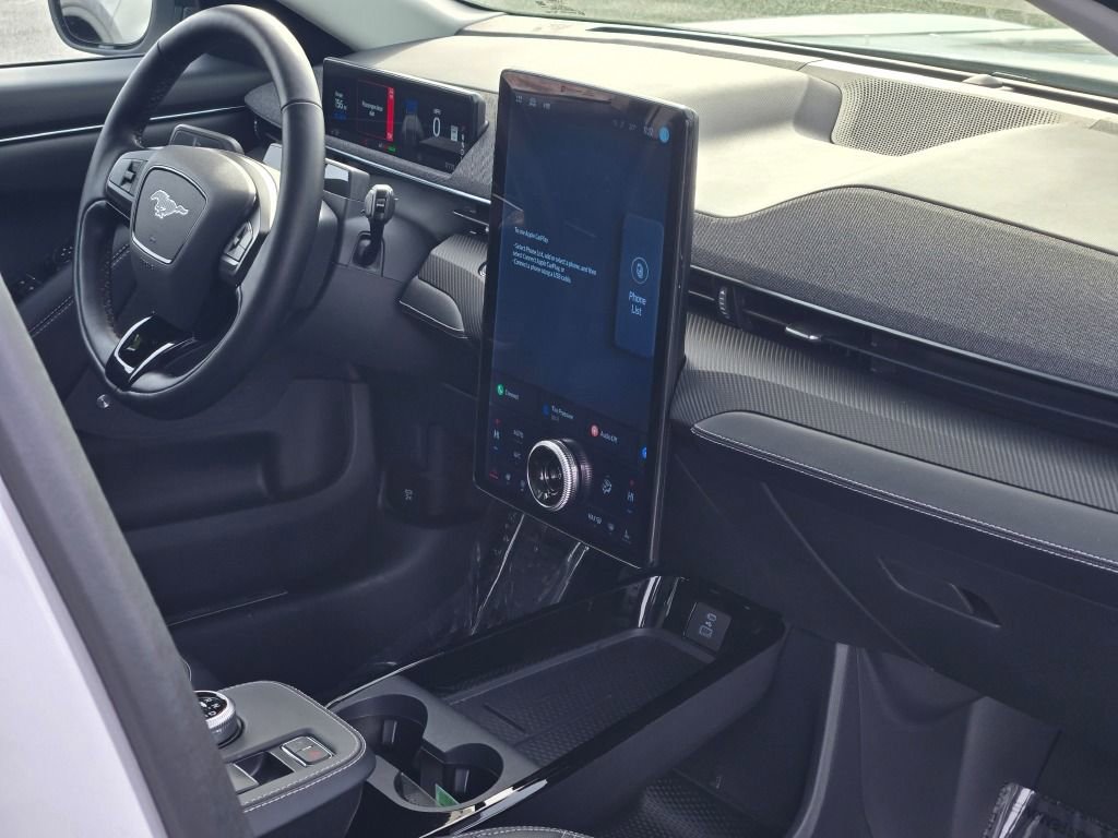 Used 2021 Ford Mustang Mach-E Premium image 10