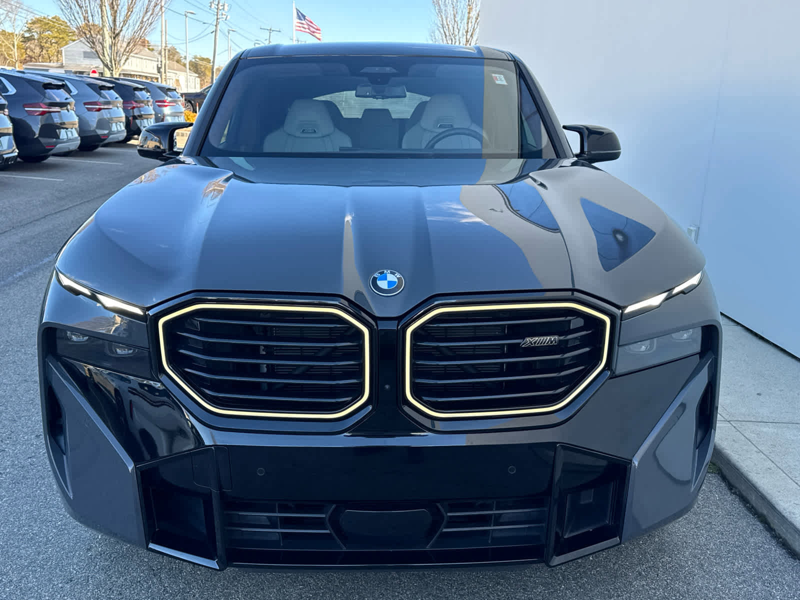 Certified 2025 BMW XM image 8