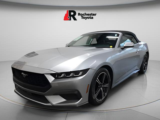 Used 2025 Ford Mustang Premium RWD image 3