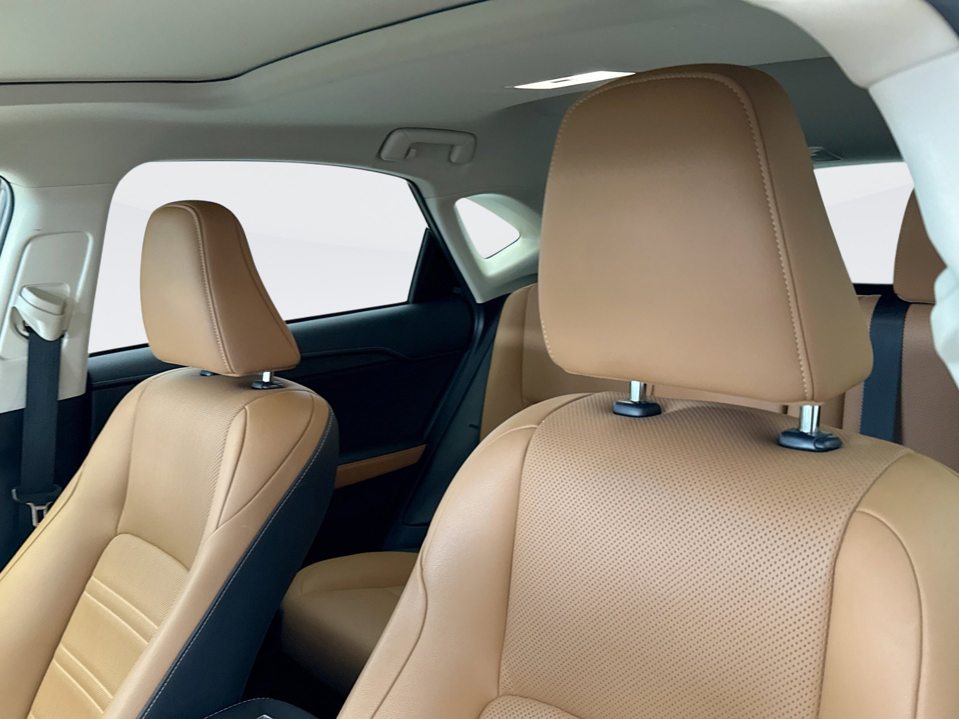 Used 2020 Lexus NX 300h AWD w/ Premium Package image 12