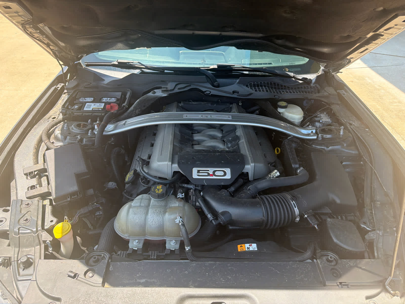 Used 2015 Ford Mustang GT Premium w/ Equipment Group 401A RWD image 12