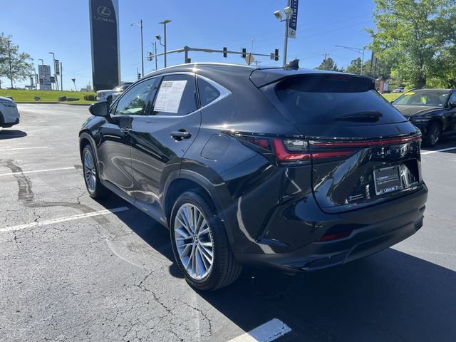 Used 2025 Lexus NX 350h AWD w/ Accessory Package (2T) image 5