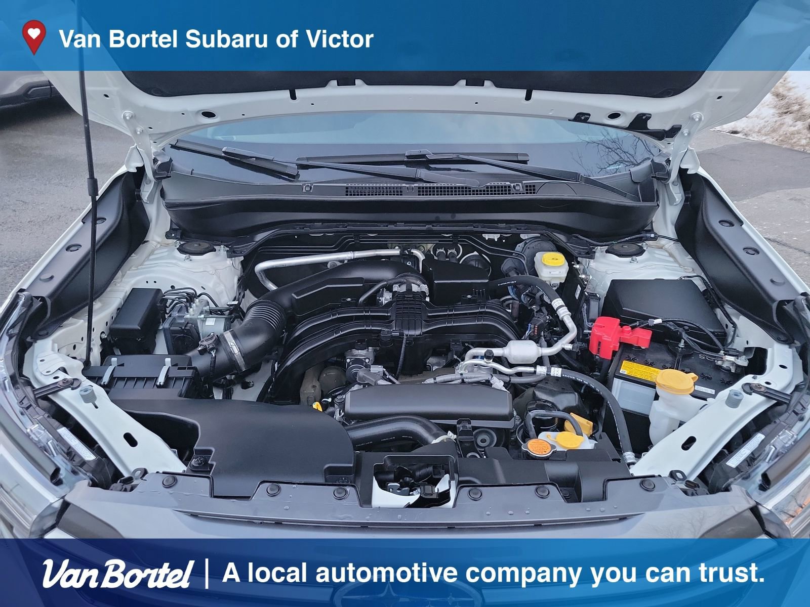 Certified 2025 Subaru Forester Premium image 11