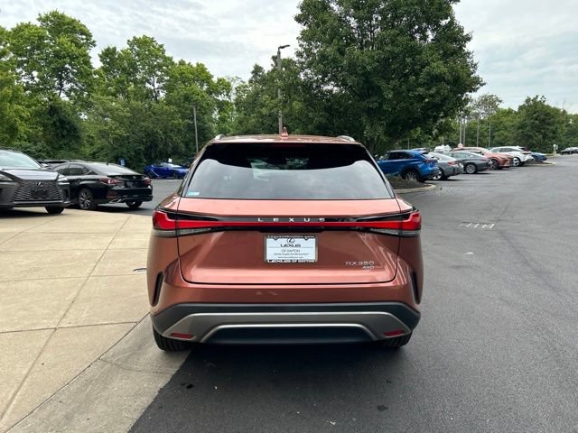 Used 2023 Lexus RX 350 Premium Plus w/ Accessory Package AWD/4WD image 6