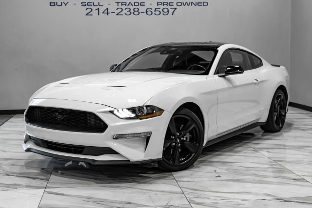 Used 2023 Ford Mustang Premium w/ Mustang Nite Pony Package RWD image 2