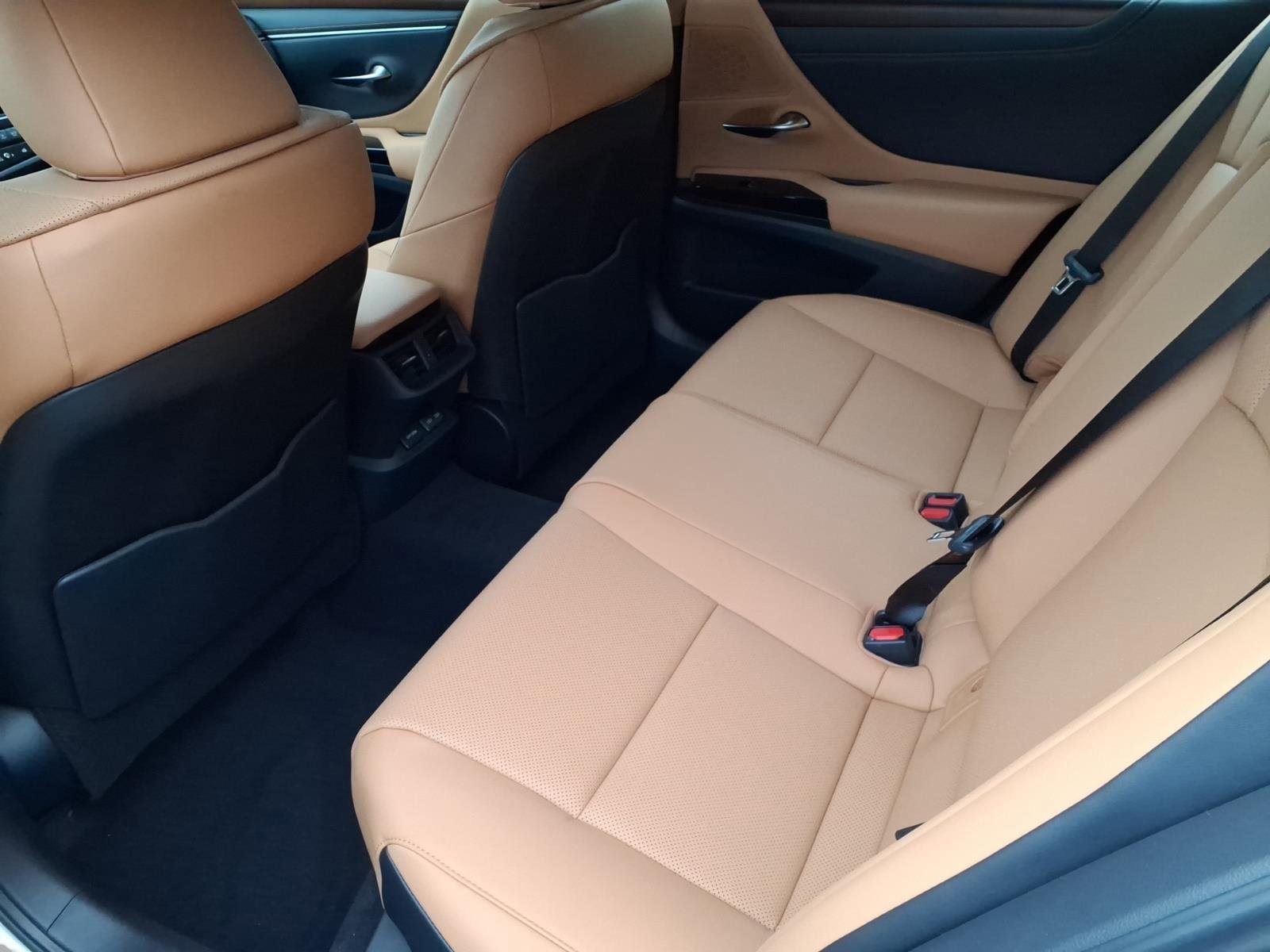 New 2025 Lexus ES 350 w/ Premium Package image 6