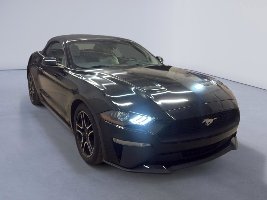 Used 2019 Ford Mustang Premium image 1