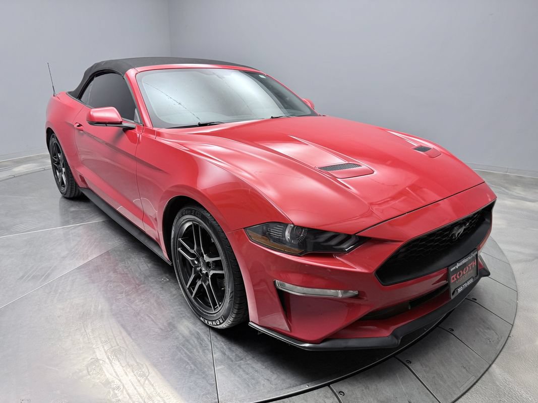 Used 2019 Ford Mustang Premium RWD image 3