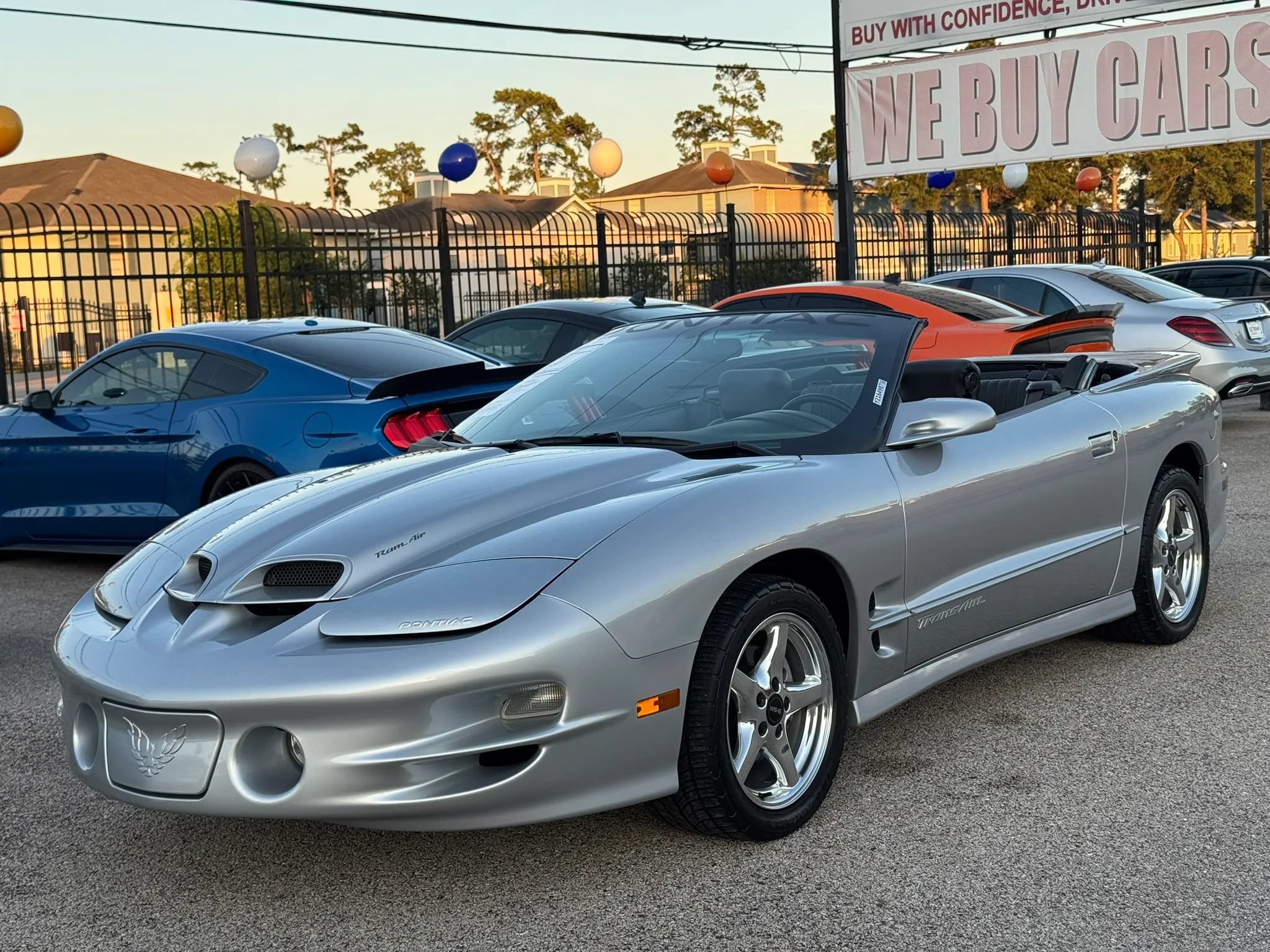 Used 2000 Pontiac Firebird Trans Am RWD image 6
