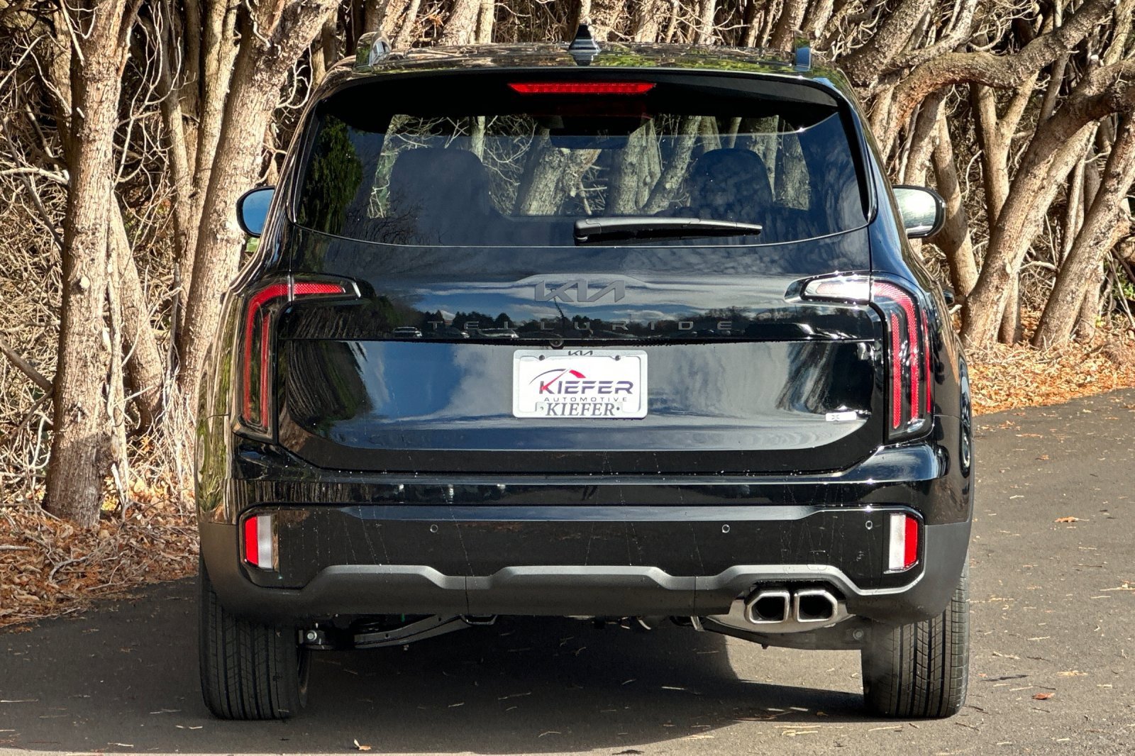 New 2025 Kia Telluride SX X-Line image 4