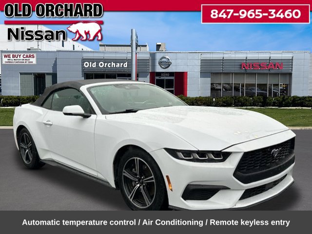 Used 2024 Ford Mustang Premium RWD image 5