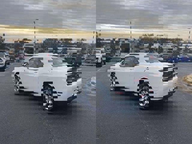 Used 2023 Dodge Challenger SXT image 5