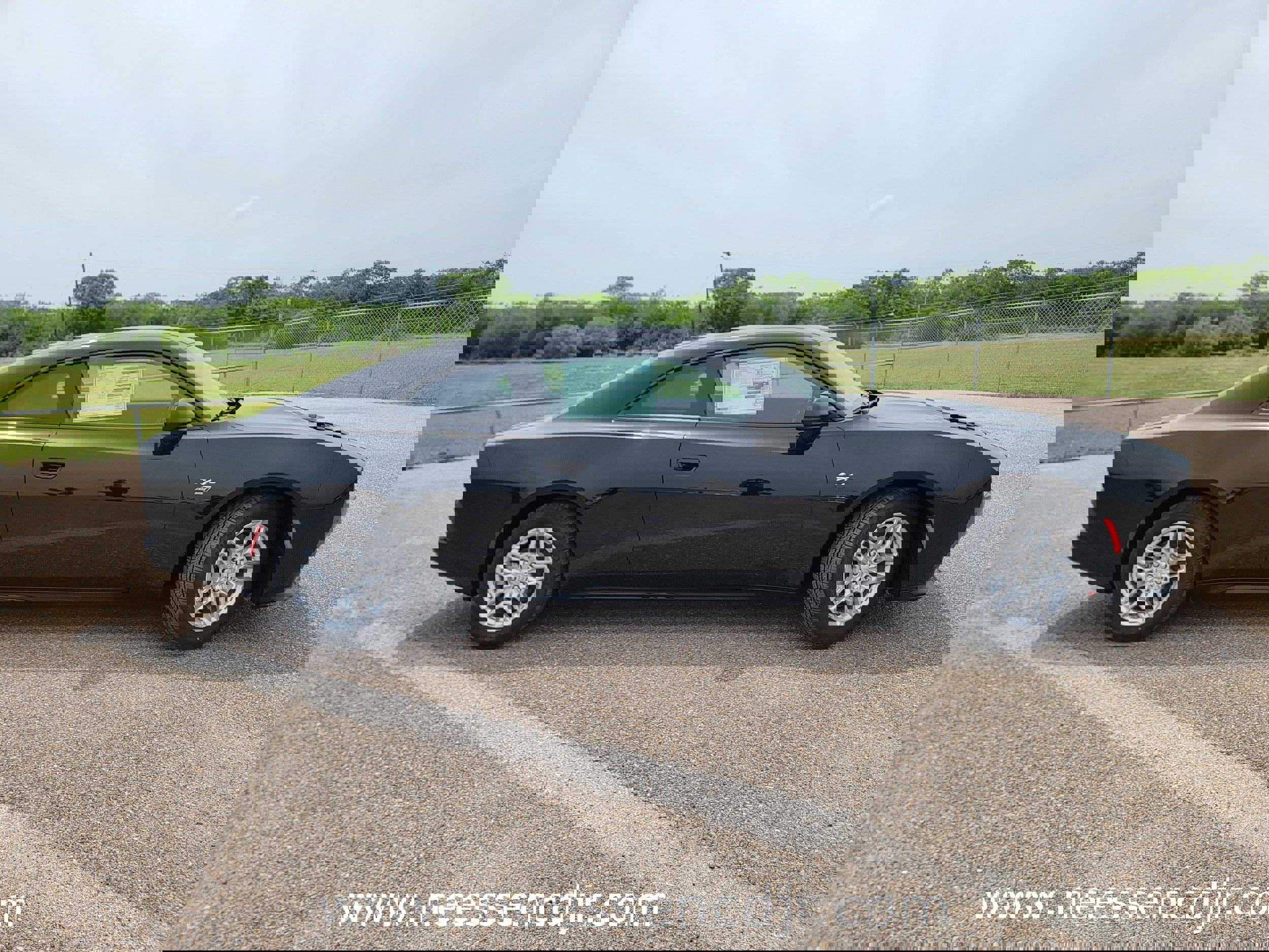 New 2025 Dodge Charger Daytona R/T w/ Quick Order Package 25M R/T image 9