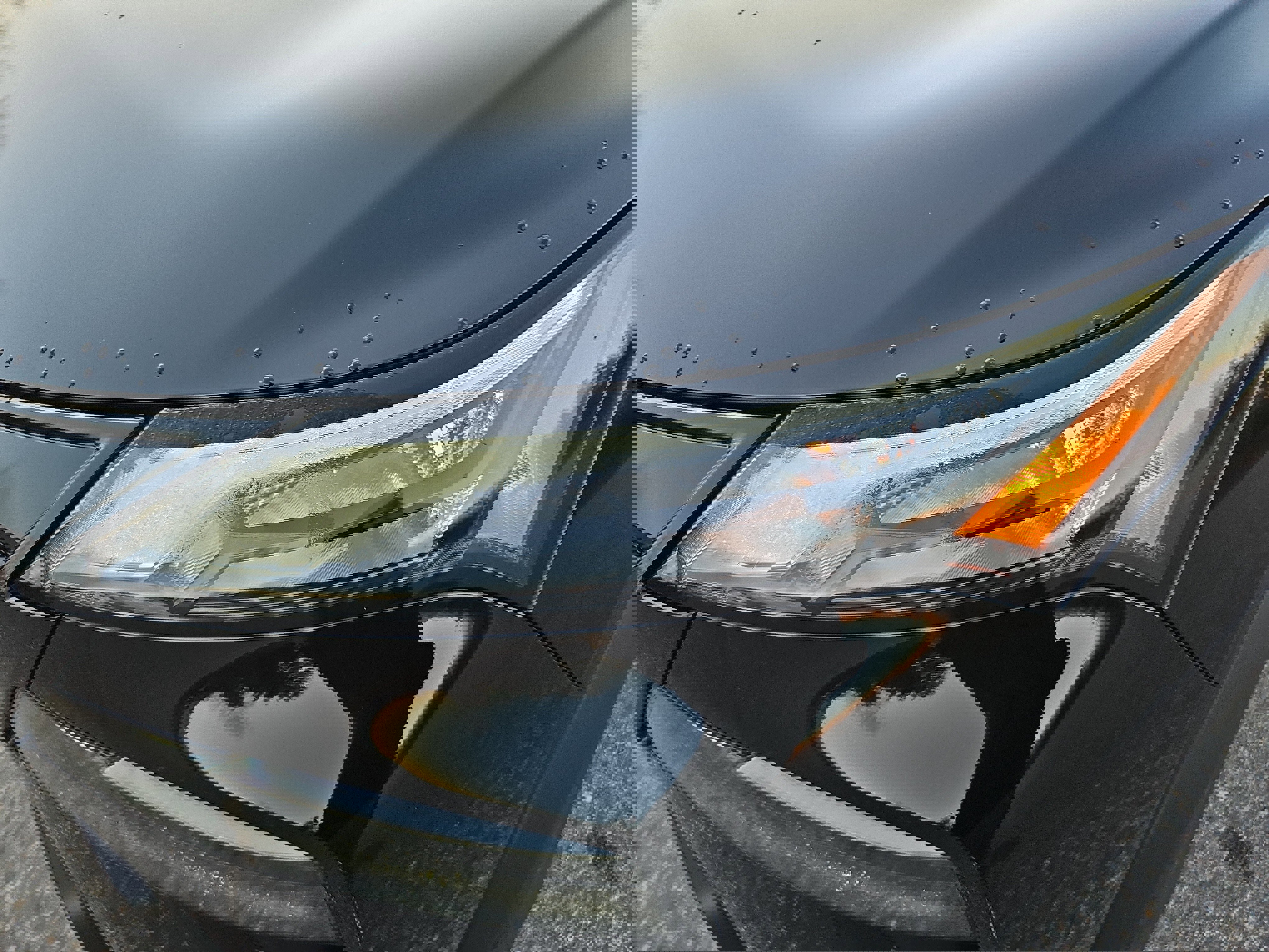 New 2026 Nissan Rogue SV w/ Rock Creek Premium Package image 14