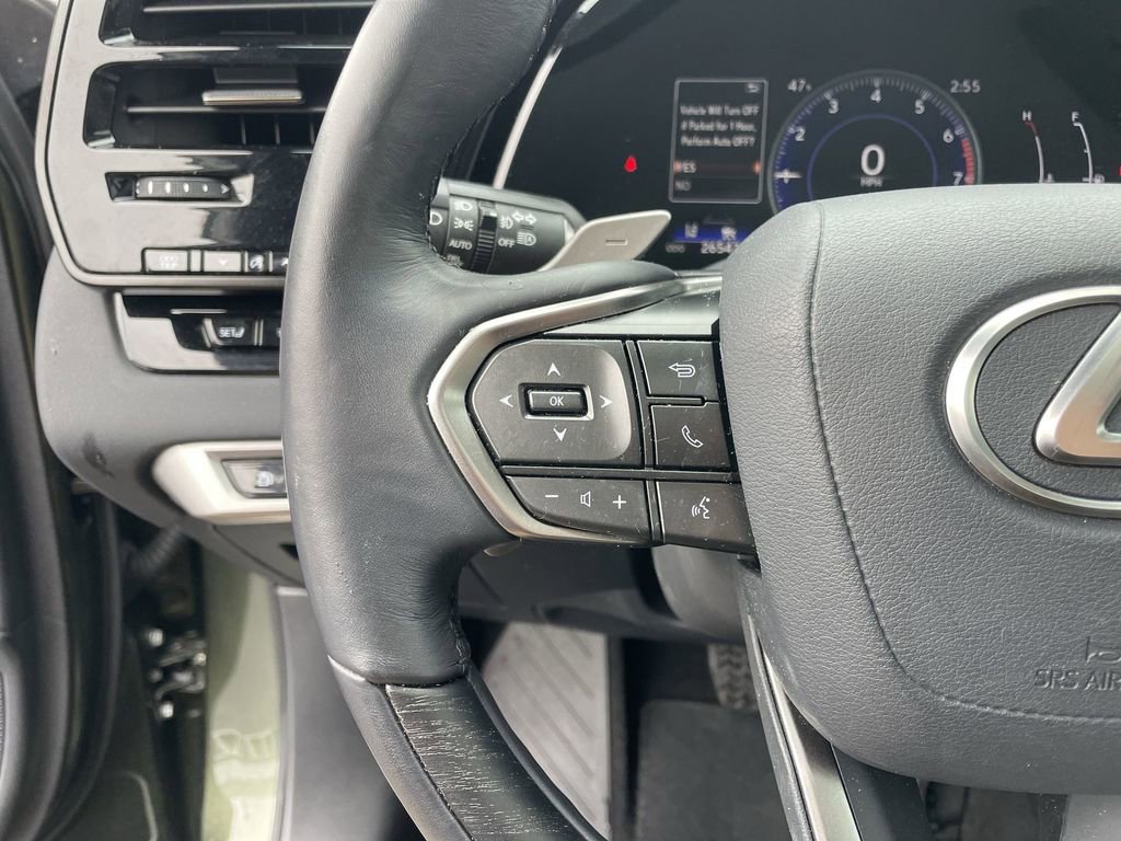 Used 2024 Lexus RX 350 Premium w/ Cold Area Package image 16
