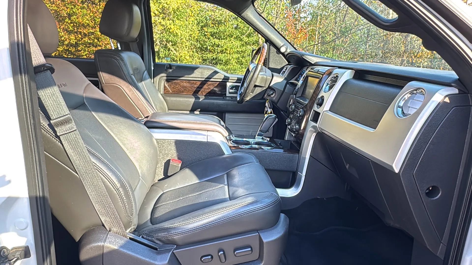 Used 2014 Ford F150 Platinum image 12