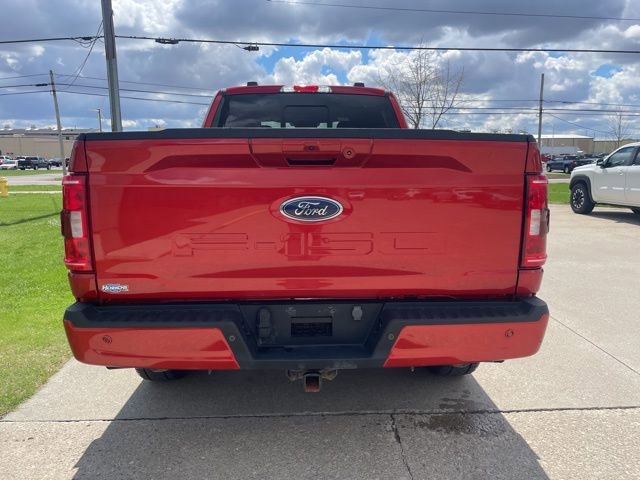 Used 2023 Ford F150 XLT w/ Equipment Group 302A High image 11