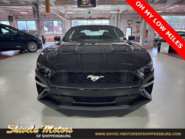 Used 2022 Ford Mustang EcoBoost image 8