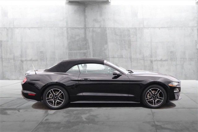 Used 2023 Ford Mustang Premium image 5