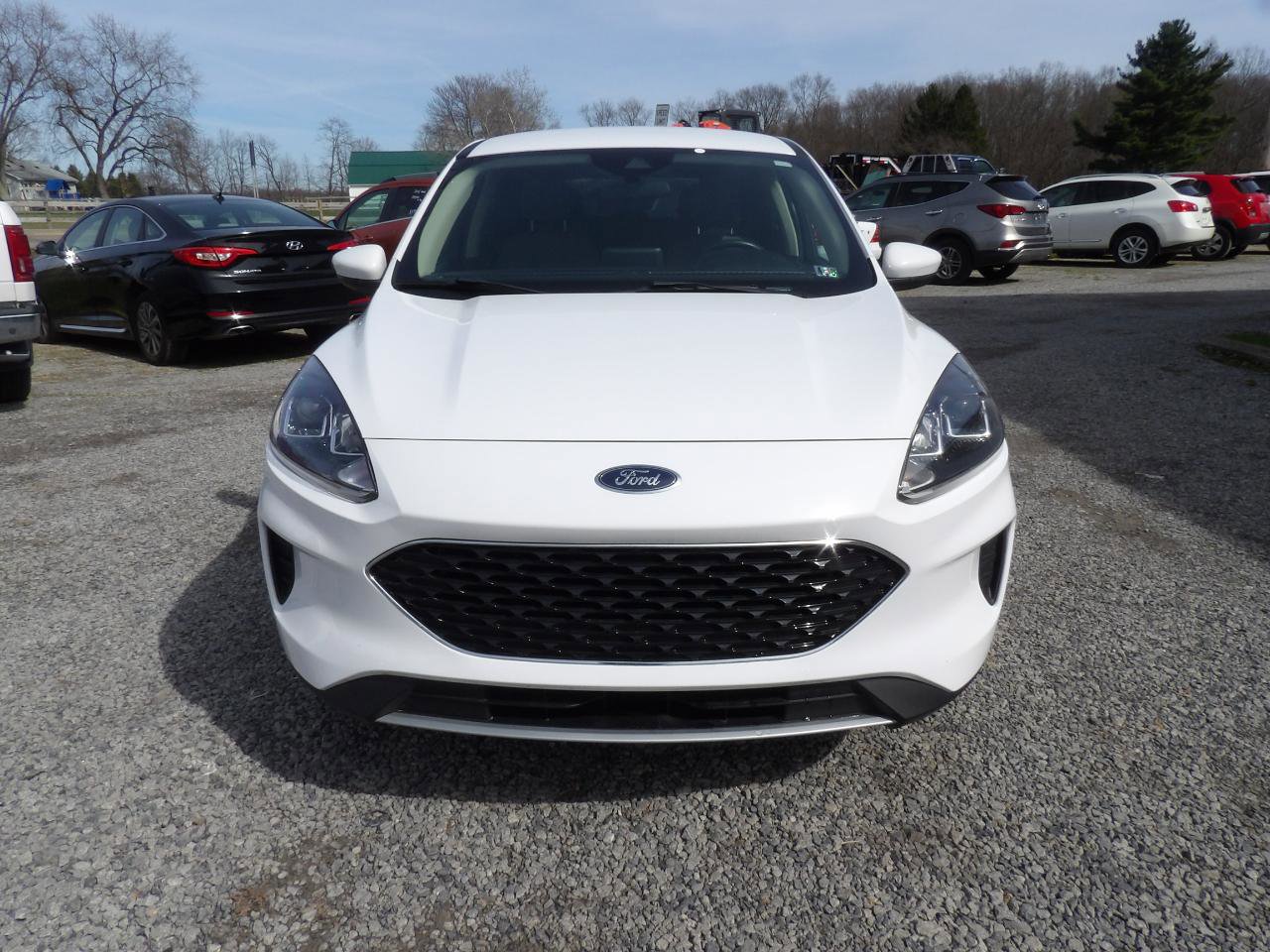 Used 2020 Ford Escape SE image 2
