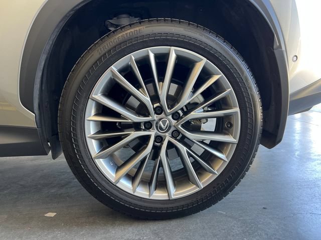 Used 2025 Lexus NX 350h AWD w/ Cold Area Package image 12