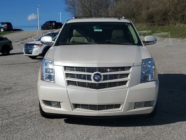 Used 2012 Cadillac Escalade Premium image 2