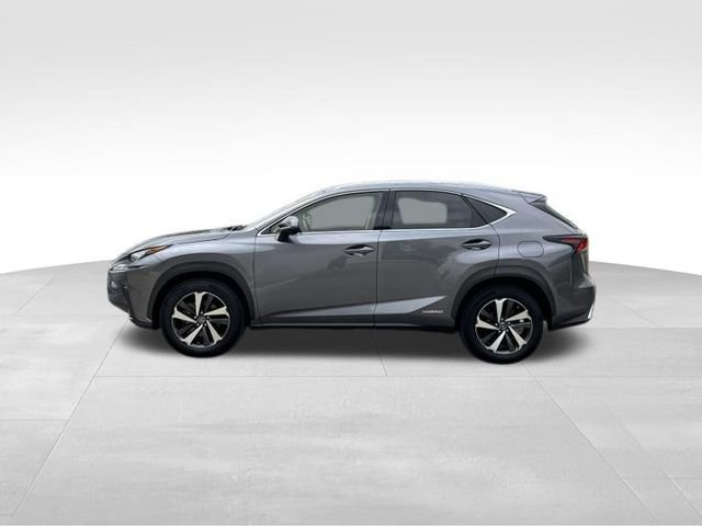 Used 2020 Lexus NX 300h AWD w/ Premium Package image 8