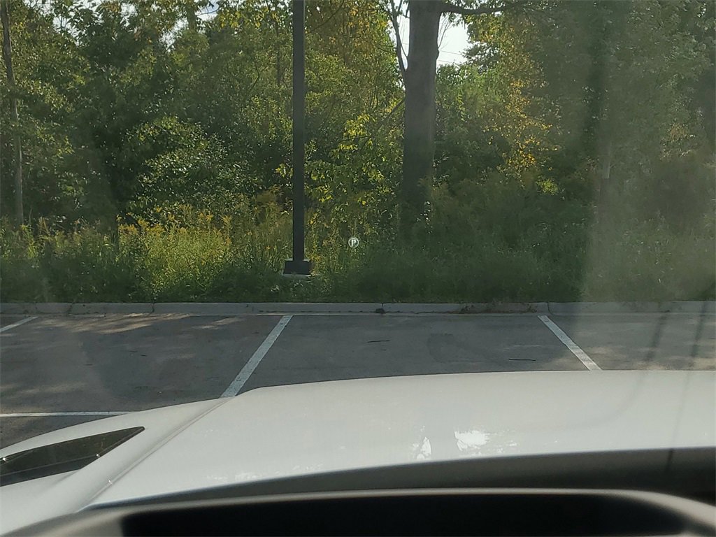 New 2025 Land Rover Range Rover Sport Dynamic SE image 16