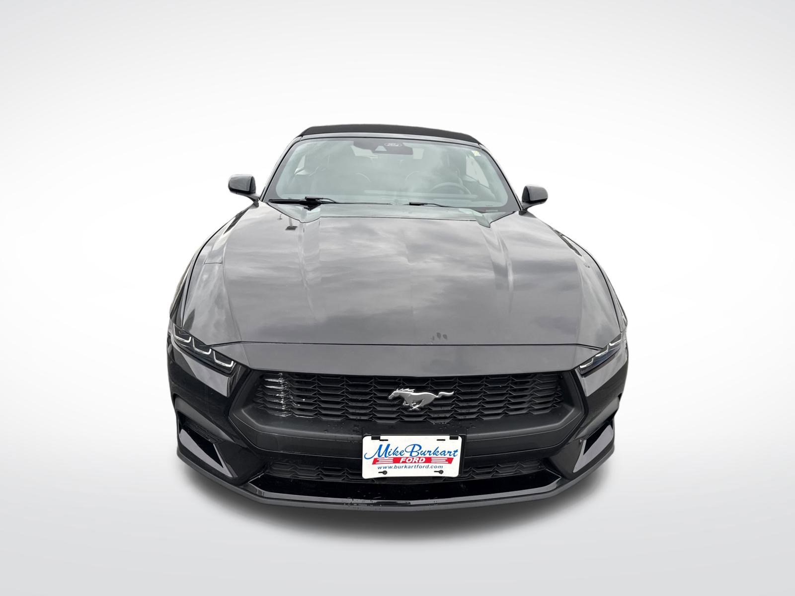 Used 2024 Ford Mustang Premium image 47