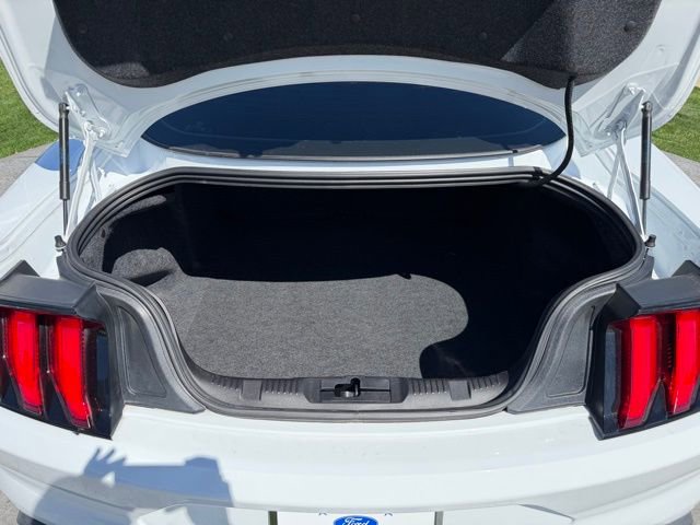 Certified 2023 Ford Mustang Coupe w/ Equipment Group 101A image 9