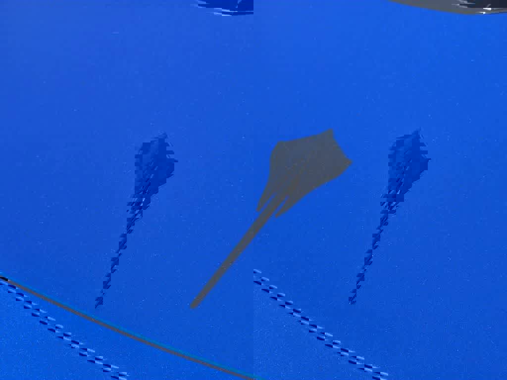 Used 2024 Chevrolet Corvette Stingray Coupe w/ 1LT image 30