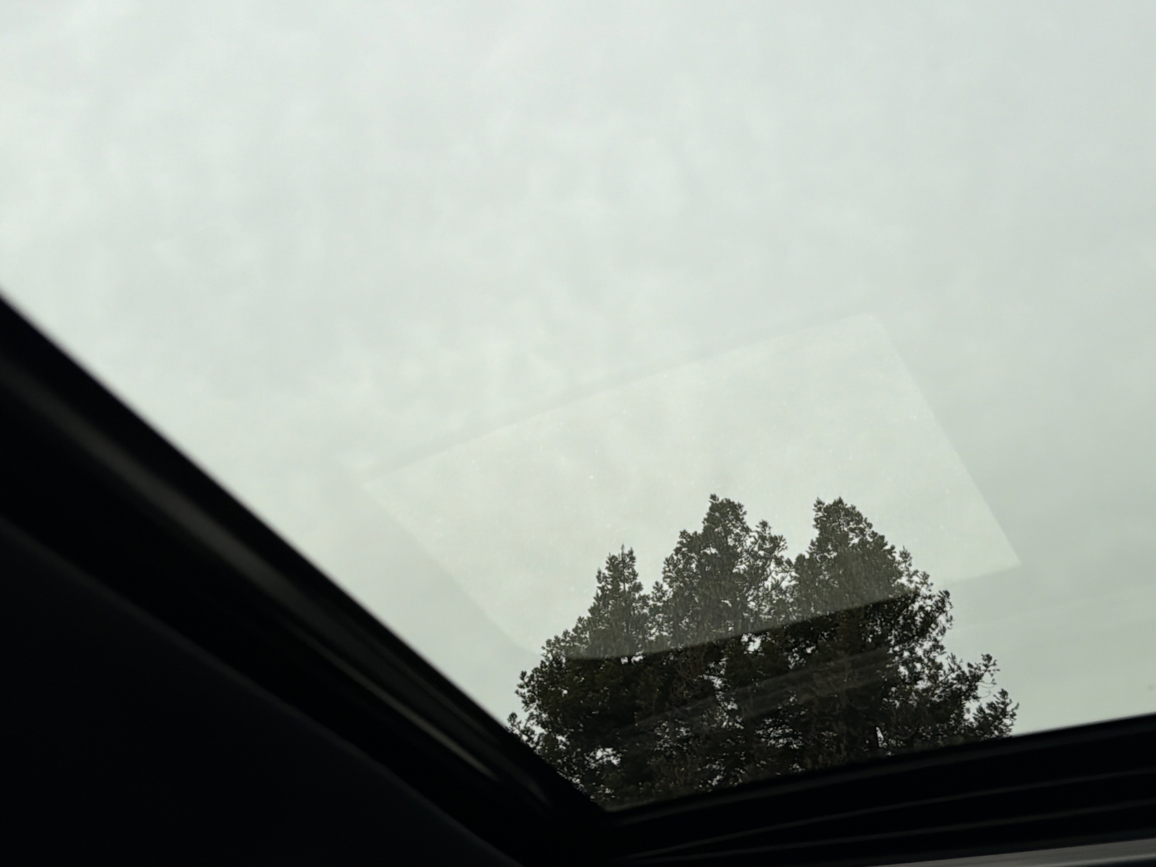 Used 2021 Toyota Tacoma TRD Off-Road image 57