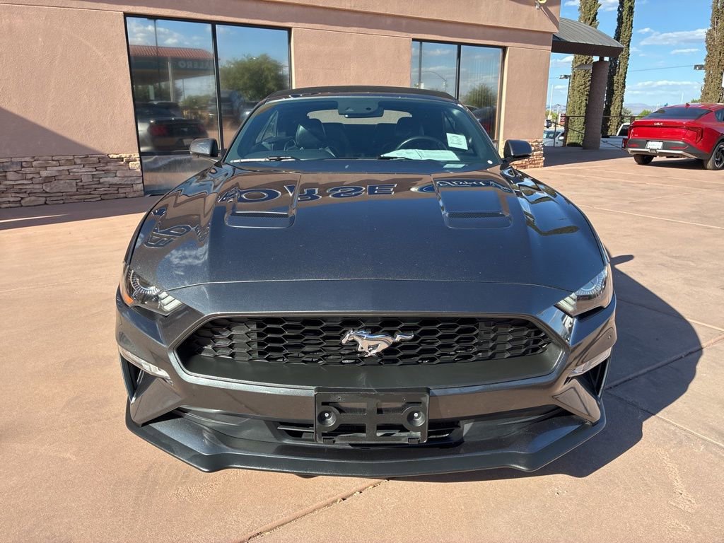 Certified 2019 Ford Mustang Premium w/ Equipment Group 201A image 13