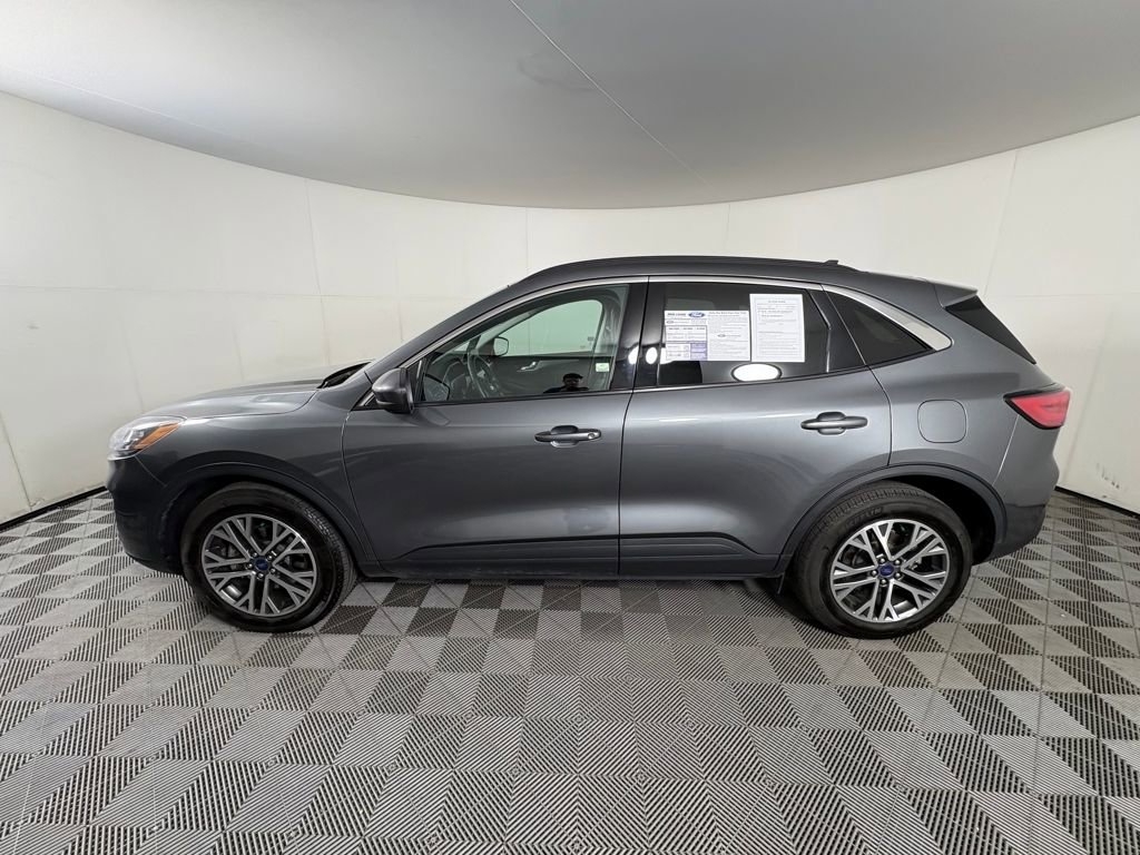 Certified 2022 Ford Escape SEL image 4