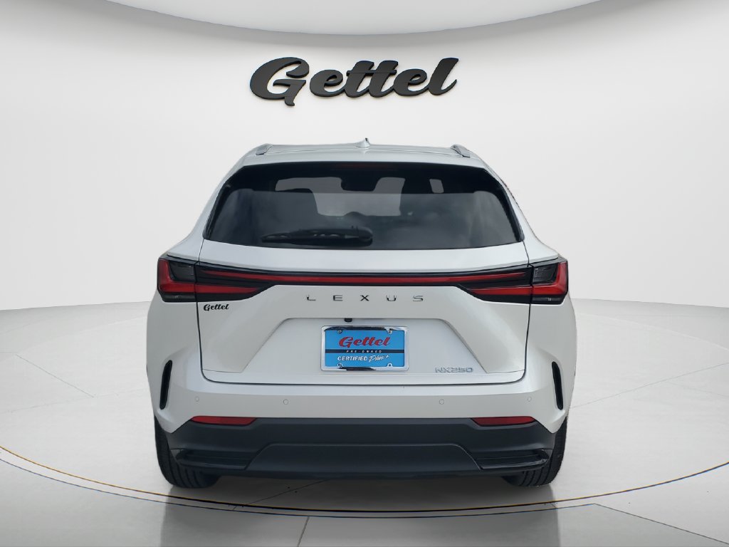 Used 2024 Lexus NX 250 FWD image 6