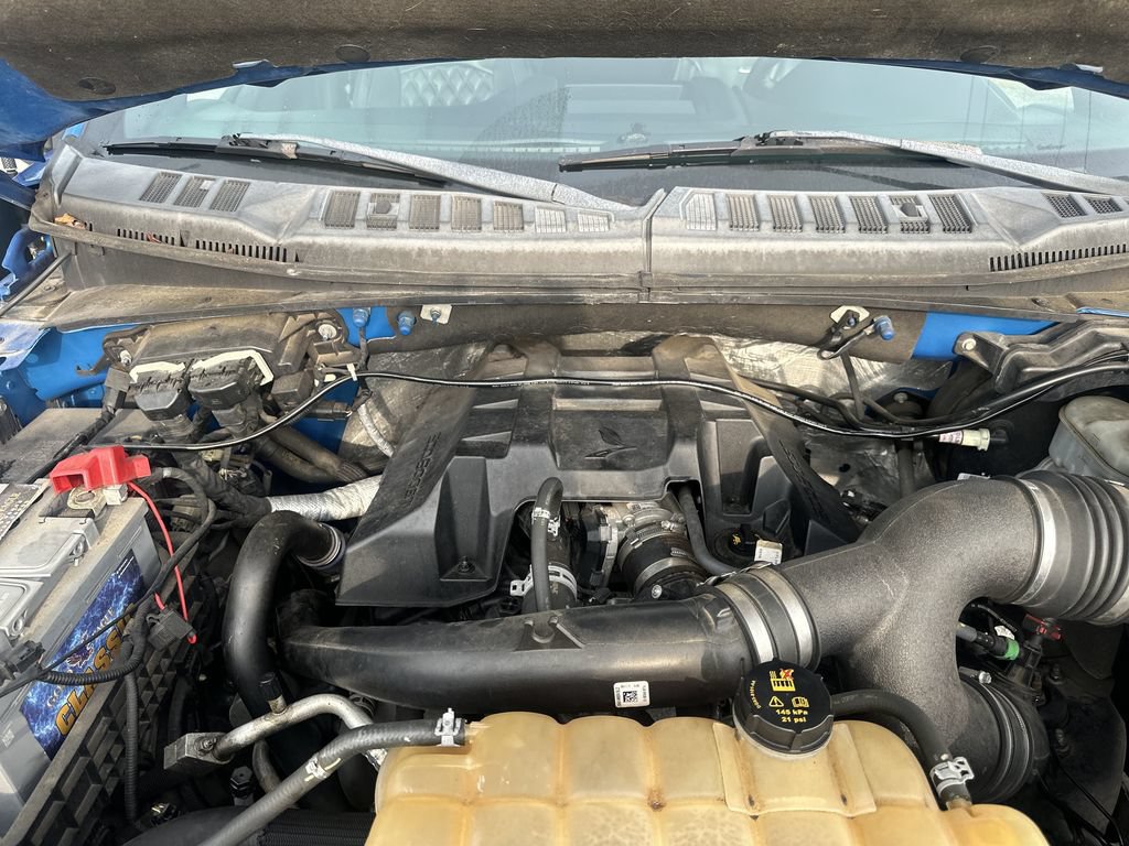 Used 2016 Ford F150 XLT w/ Equipment Group 301A Mid AWD/4WD image 12