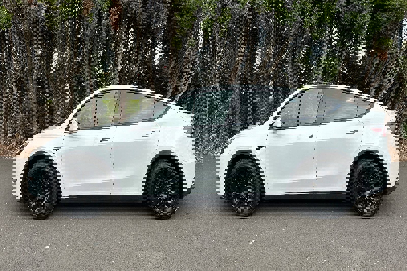 Used 2023 Tesla Model Y Long Range image 7