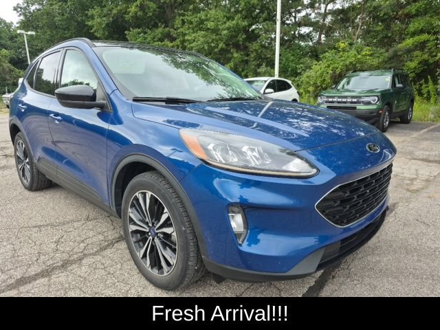 Used 2022 Ford Escape SEL w/ SEL Stealth AWD Package image 6