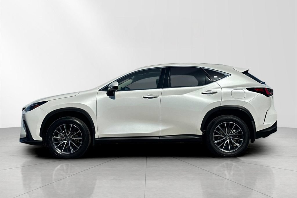 Certified 2025 Lexus NX 350h AWD w/ Cold Area Package image 3