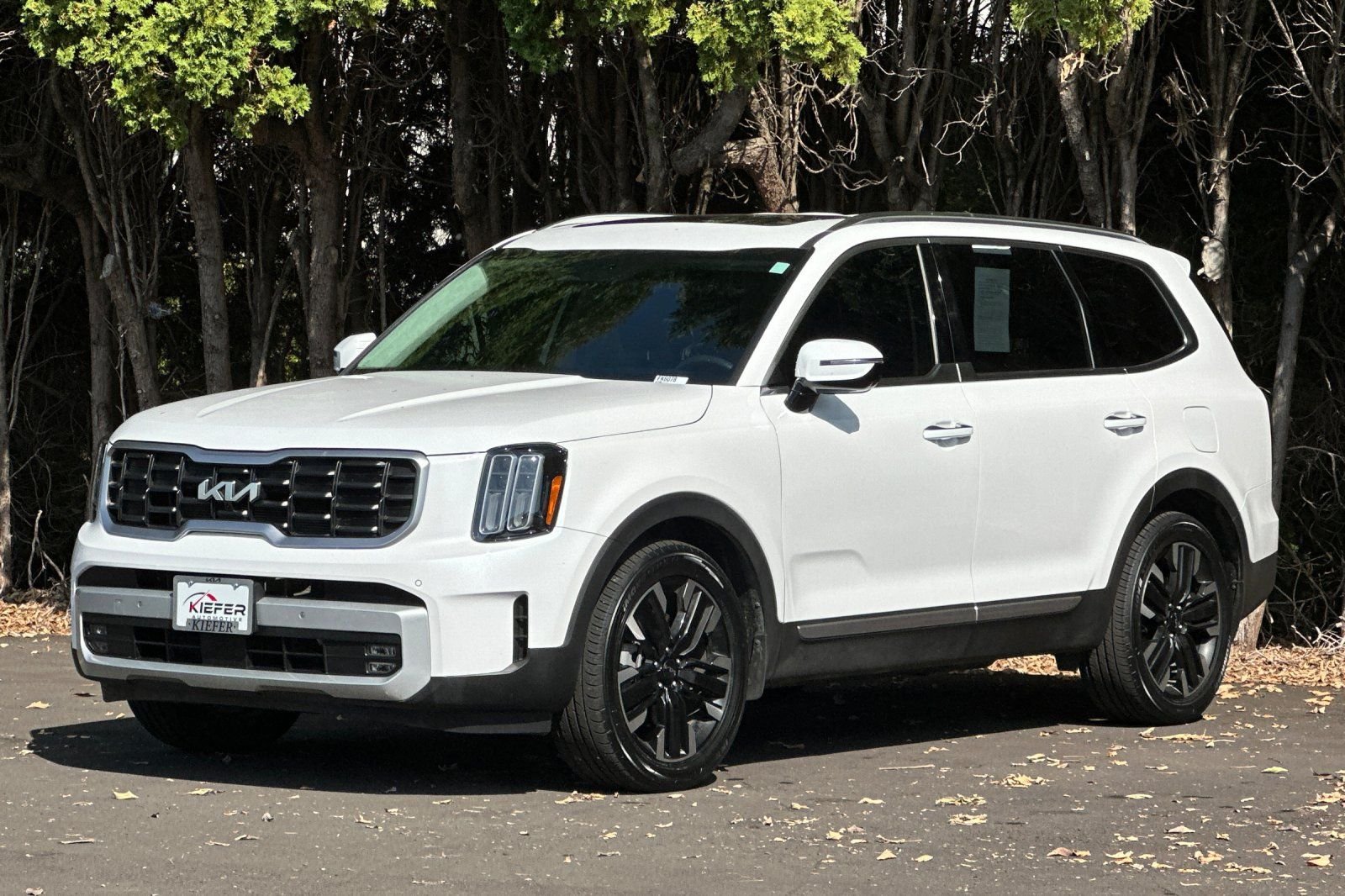 Used 2025 Kia Telluride SX Prestige AWD/4WD image 8