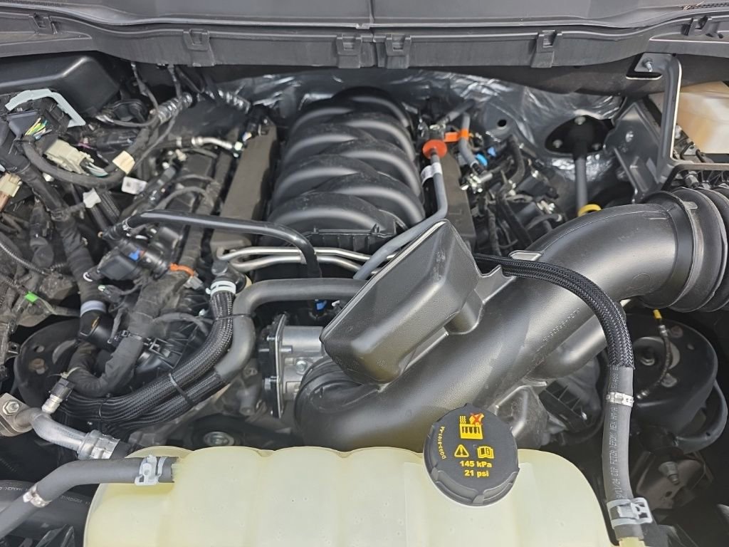 Used 2024 Ford F150 STX image 12