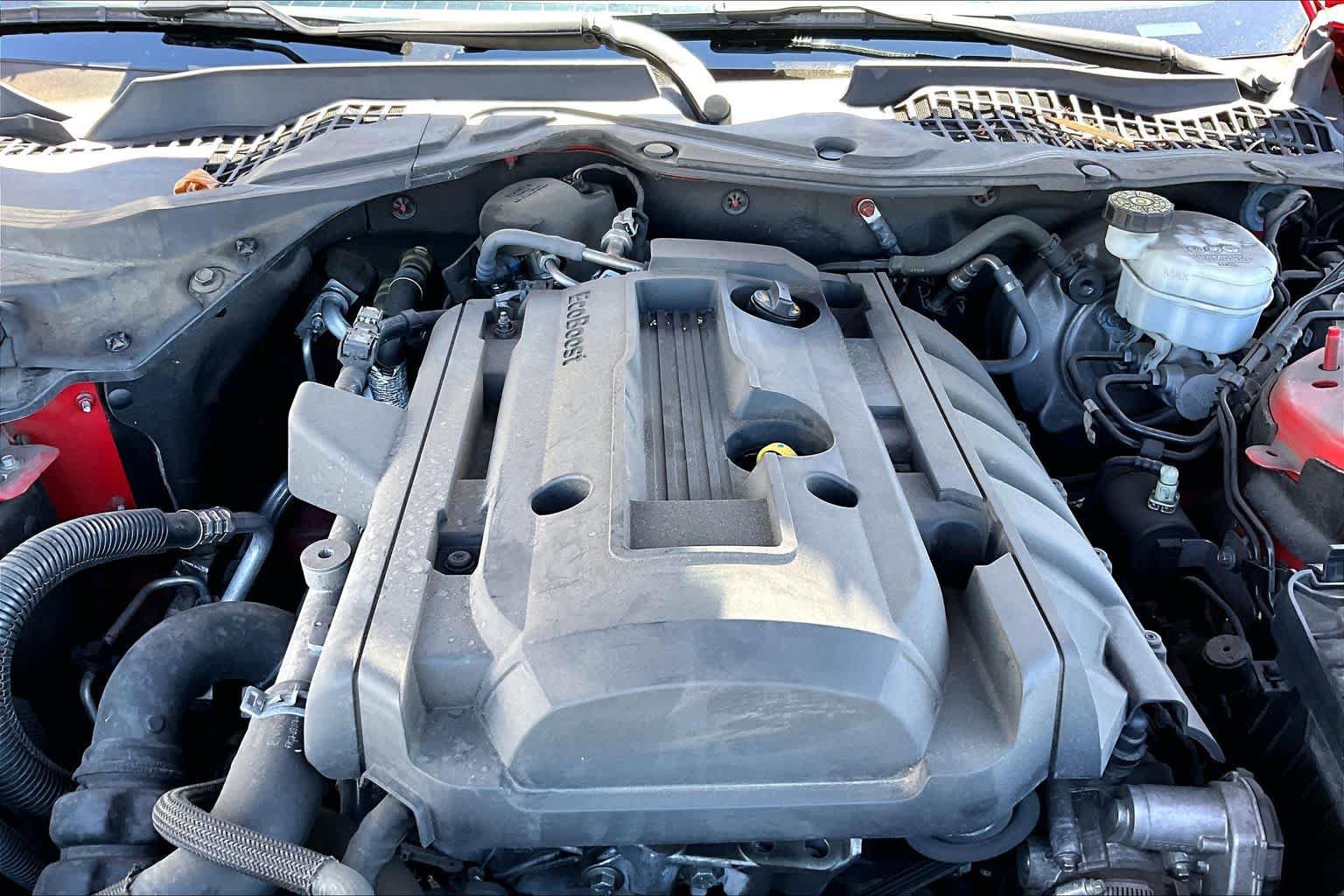 Used 2019 Ford Mustang Coupe w/ Equipment Group 101A RWD image 31