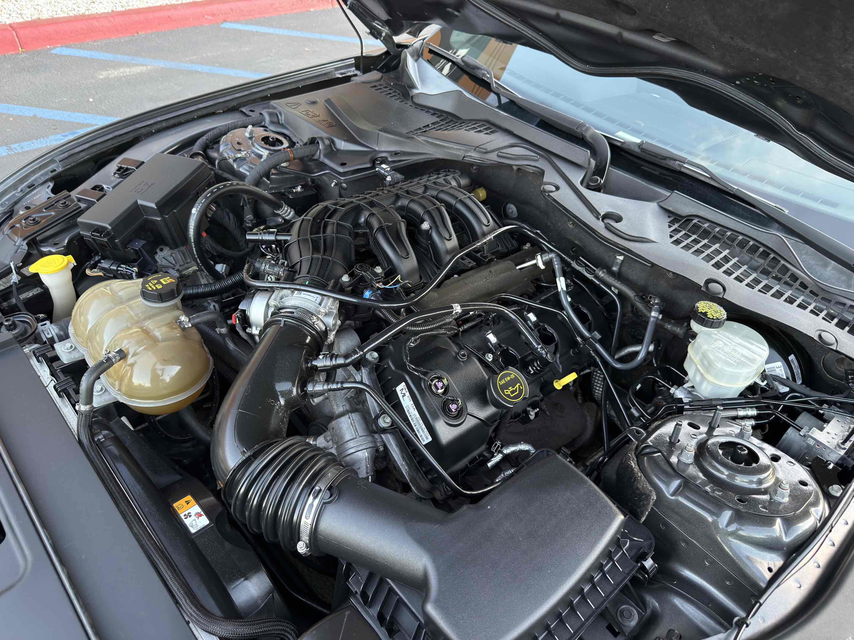 Used 2017 Ford Mustang Coupe RWD image 55