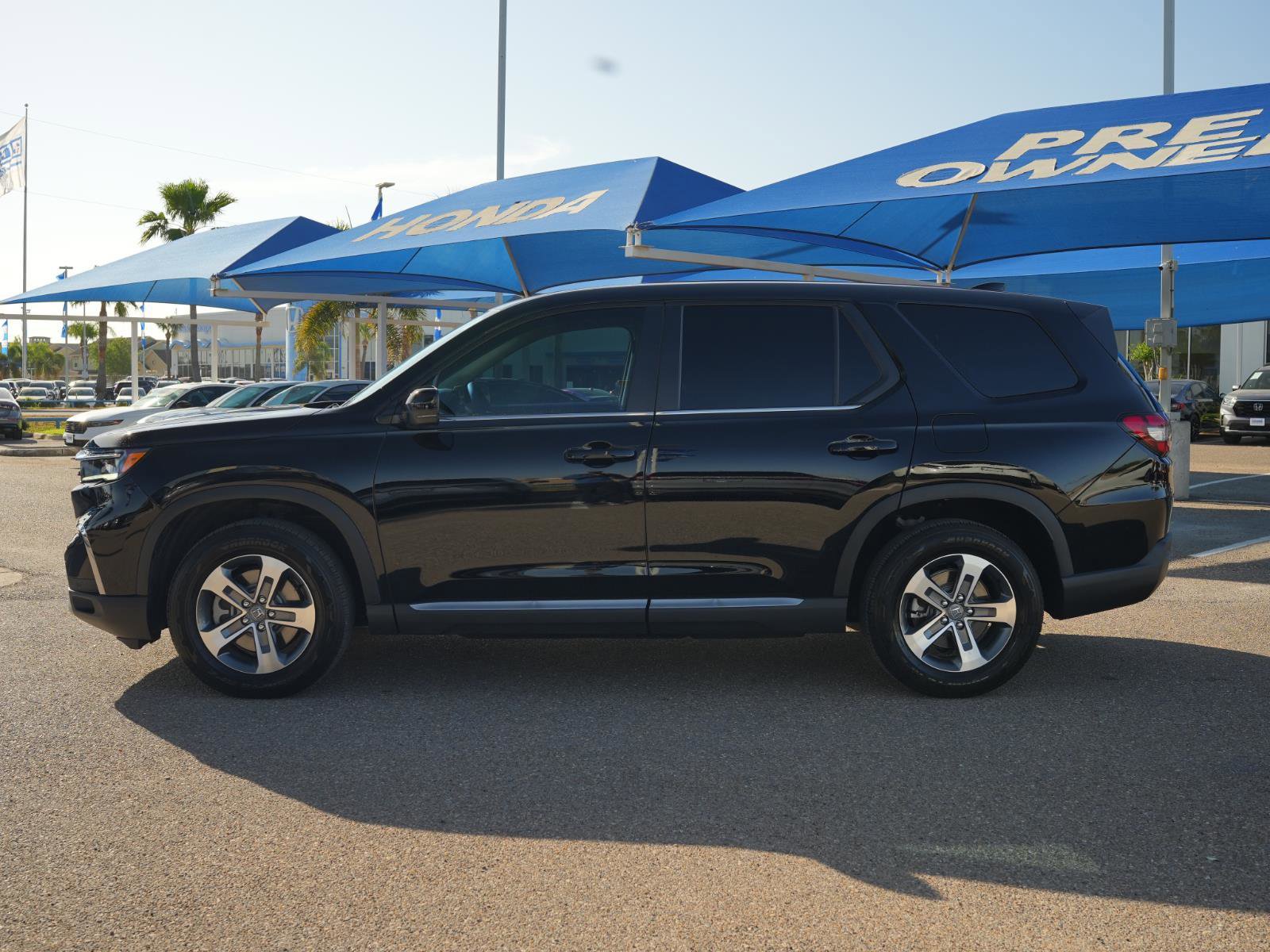 Used 2025 Honda Pilot EX-L image 8
