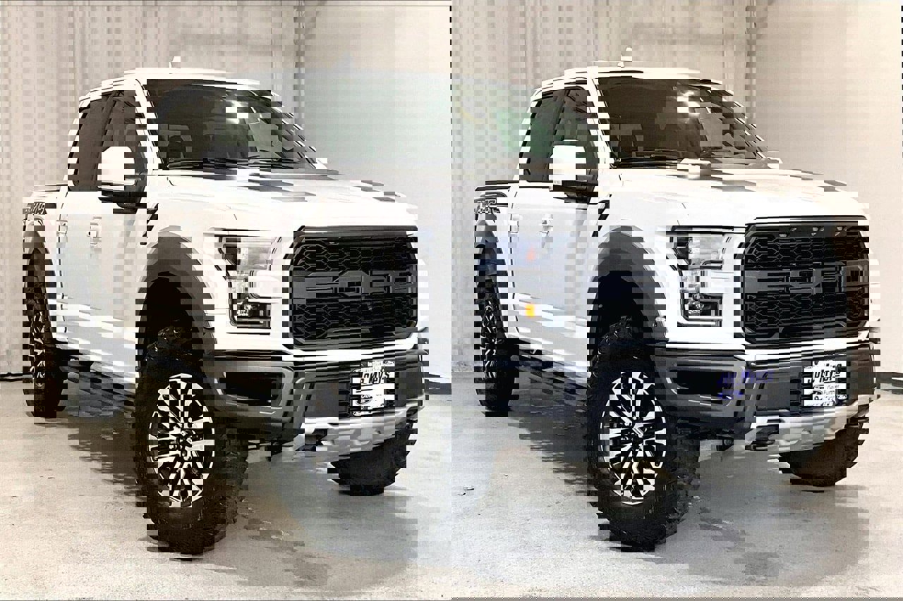 Used 2019 Ford F150 Raptor w/ Equipment Group 802A Luxury image 1