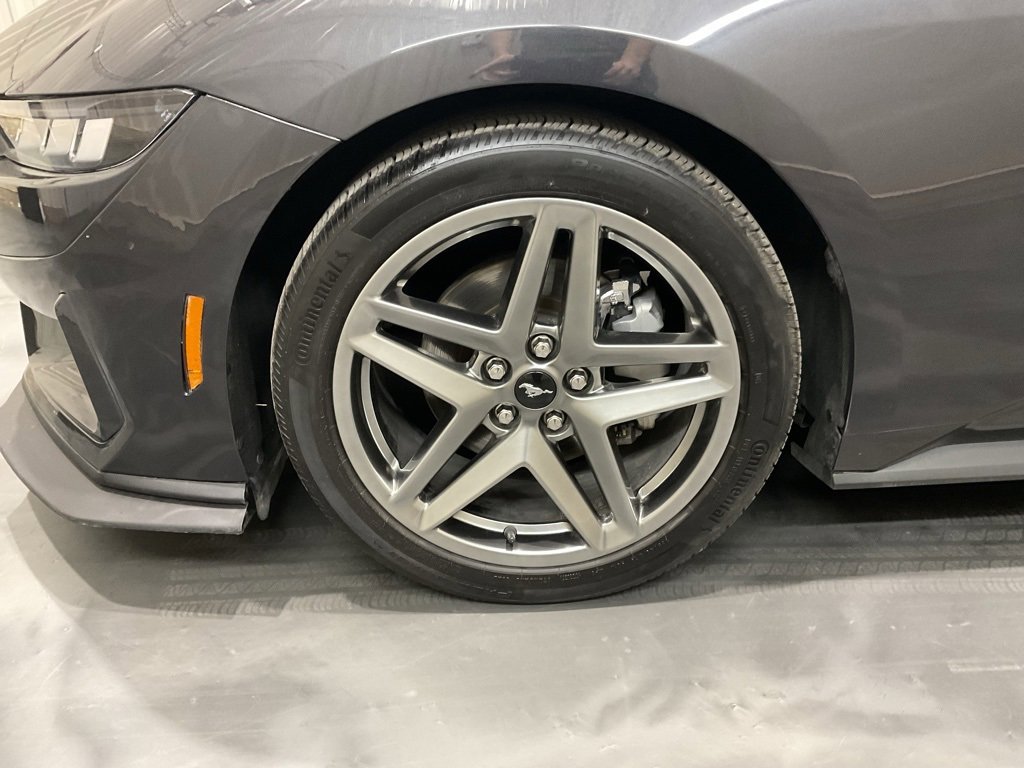 Used 2024 Ford Mustang EcoBoost image 6
