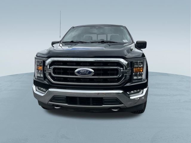 Used 2021 Ford F150 XLT w/ Equipment Group 302A High AWD/4WD image 10