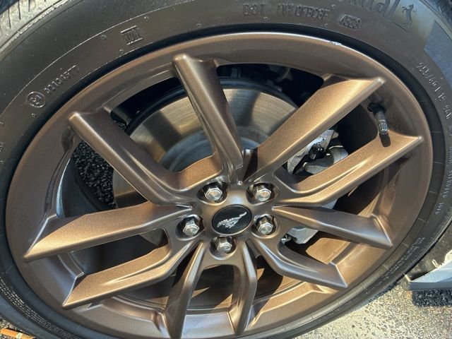 Used 2024 Ford Mustang Premium image 11