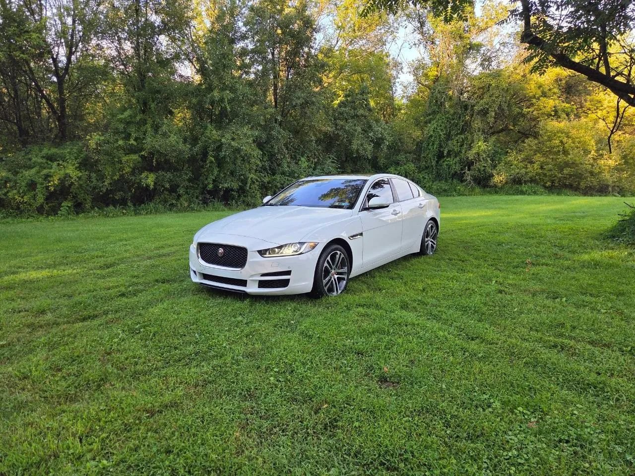 Used 2017 Jaguar XE Premium AWD/4WD image 12