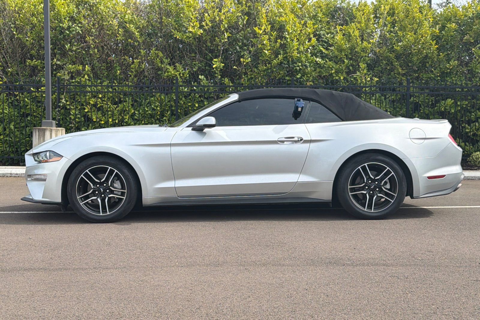 Used 2018 Ford Mustang Premium RWD image 7